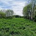 Ostratu, Corbeanca, Paradisul Verde, teren intravilan